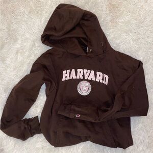 Harvard Champion sweatshirt brown pink hoodie